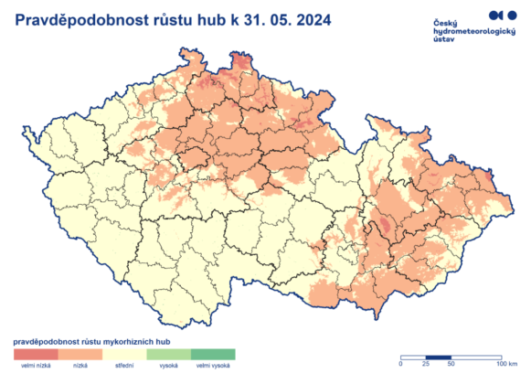 Pravděpodobnost růstu hub je převážně střední