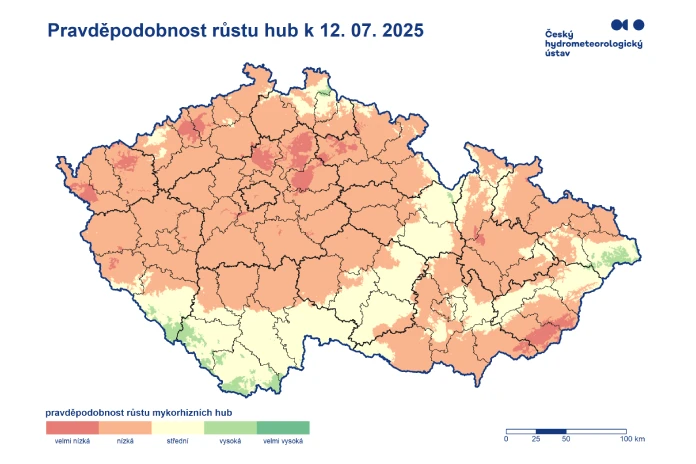 Pravděpodobnost růstu hub