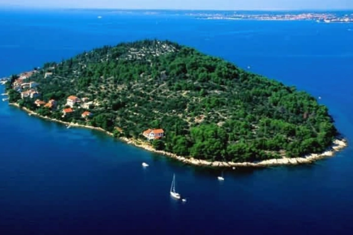 Ostrov Ošljak