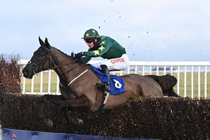 Michael Donoghue na koni Stumptown vyhrál 135. ročník dostihového závodu Velká pardubická