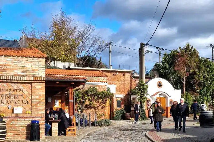 Ulička vinných sklepů v Bzenci - Víno